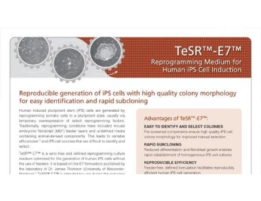 TeSR™-E7™ Reprogramming Medium for Human iPS Cell Induction