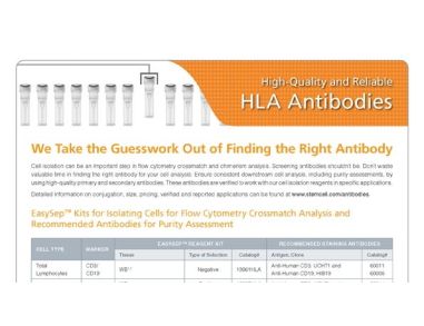 HLA Antibodies for Purity Assessment