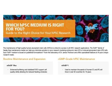Maximize Your Pluripotential with the TeSR™ Family of hPSC Culture Media