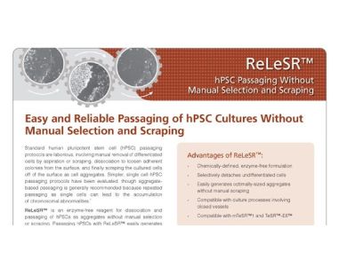 ReLeSR™: hPSC Passaging Without Manual Selection and Scraping