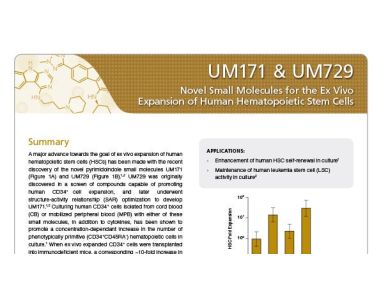 UM171 & UM729: Novel Small Molecules for the Ex Vivo Expansion of Human Hematopoietic Stem Cells