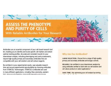 Reliable Antibodies for Your Research
