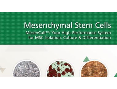 MesenCult&trade;: Your High-Performance System for MSC Isolation, Culture & Differentiation