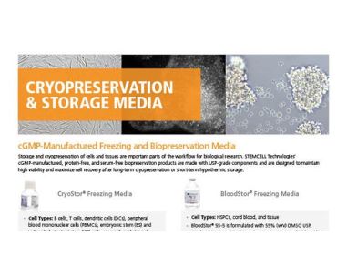 Cryopreservation Media for Stem Cell Research
