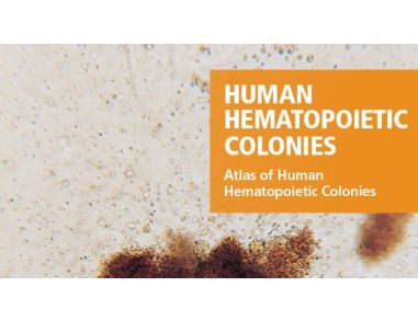 Atlas of Human Hematopoietic Colonies 