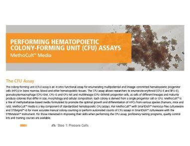 MethoCult™ Media for Performing Hematopoietic Colony-Forming Unit (CFU) Assays