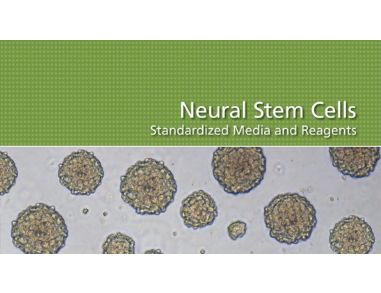 Neural Stem Cells: Standardized Media and Reagents