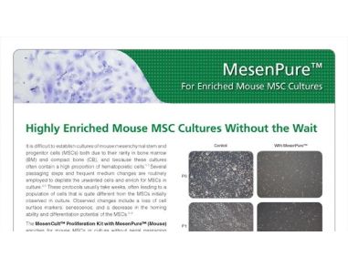 MesenPure&trade; for Enriched Mouse Mesenchymal Stem Cell (MSC) Cultures