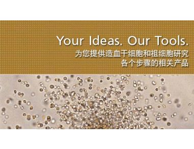 Your Ideas. Our Tools. Products for Every Step of Your Hematopoietic Stem and Progenitor Cell Research.