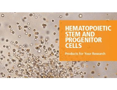 Hematopoietic Stem and Progenitor Cells - Products for Your Research