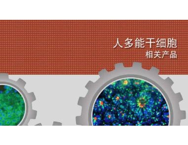 Products for Human Pluripotent Stem Cells