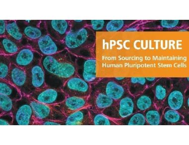 Products for Human Pluripotent Stem Cells
