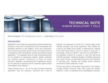 Simple and Effective Isolation of Human Regulatory T Cells