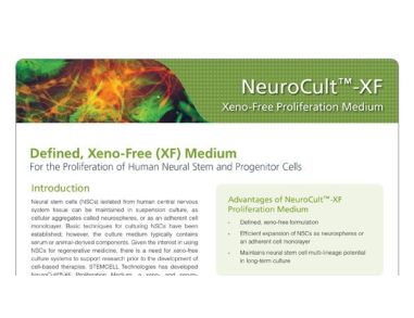 NeuroCult™-XF: Xeno-Free Culture Medium for the Proliferation of Human Neural Stem Cells