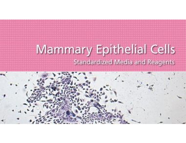 Mammary Epithelial Cells: Standardized Media and Reagents