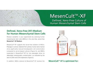 MesenCult&trade;-XF: Defined, Xeno-Free Culture of Human Mesenchymal Stem Cells