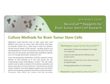 NeuroCult™: Reagents for Brain Tumor Stem Cell Research