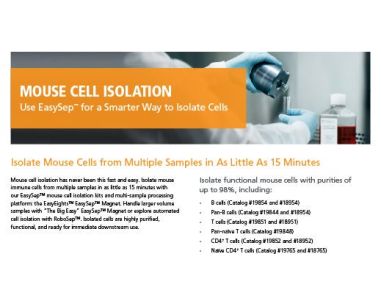 Mouse Cell Isolation
