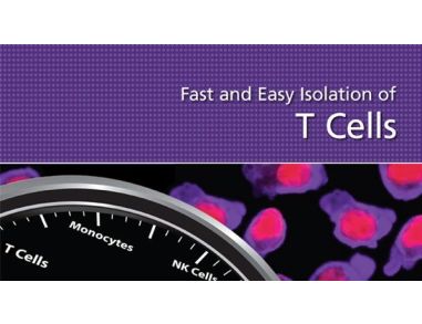Fast and Easy Isolation of T Cells