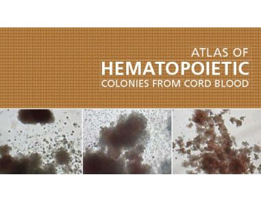 Atlas of Hematopoietic Colonies From Cord Blood