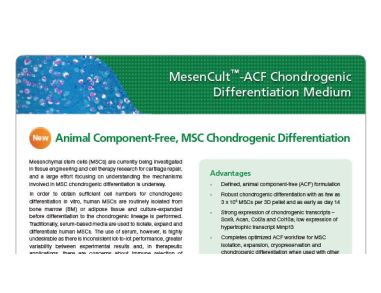 MesenCult™-ACF Chondrogenic Differentiation Medium