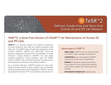 TeSR™2 Defined Feeder-Free and Xeno-Free Human ES and iPS Cell Medium