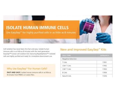Isolate Human Immune Cells