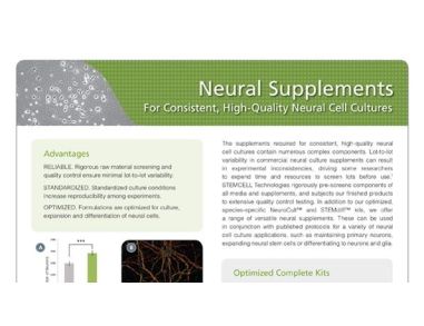 Neural Supplements For High-Quality Neural Cell Cultures