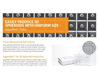 AggreWell™ for Spheroids