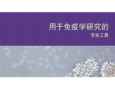 Tools For Your Immunology Research