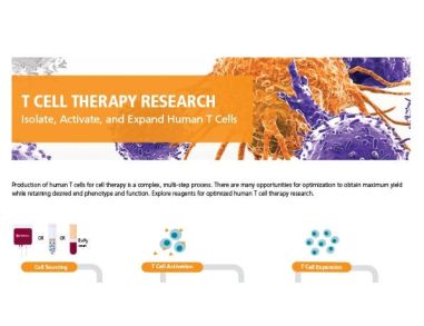 T Cell Reagents for Your Cellular Therapy Research