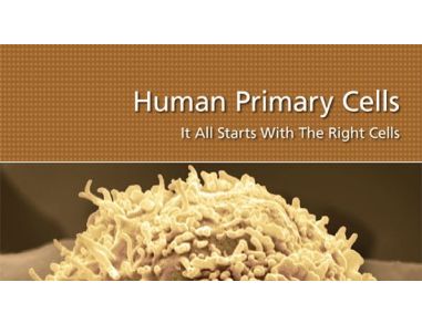 Human Primary Cells: It All Starts with the Right Cells