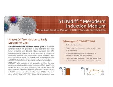 STEMdiff™ Mesoderm Induction Medium