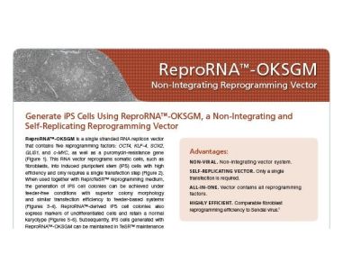 ReproRNA™-OKSGM Non-Integrating Reprogramming Vector