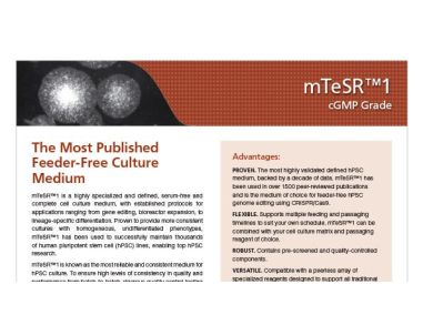 cGMP mTeSR™1