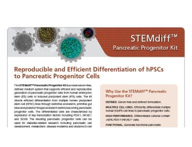 STEMdiff™ Pancreatic Progenitor Kit