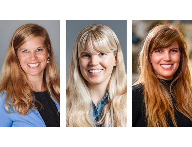 Drs. Mindy, Amy,  and Kristen Engevik