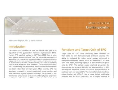 Erythropoietin (EPO): Properties, Biological Functions, and Measurement
