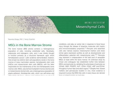 Mesenchymal Stromal Cells: Markers, Isolation and Culture, Differentiation, and Therapeutic Potential