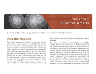 Pluripotent Stem Cells