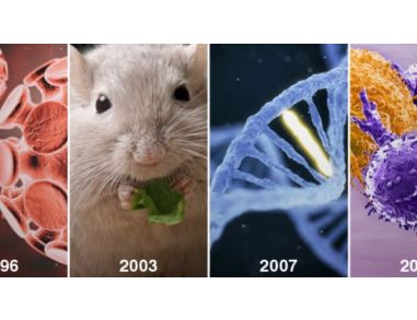 Immunology Features