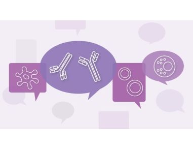 Immunology Profiles: Hear Their Stories
