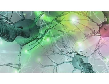 Modeling Neurological Disease