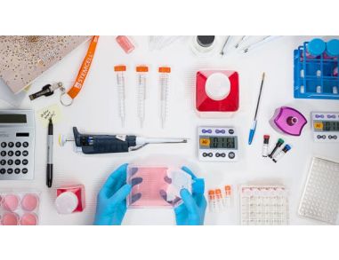Hematopoiesis Hub