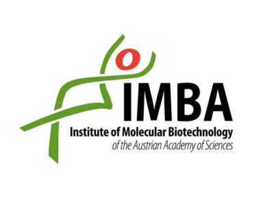STEMCELL Technologies Signs Exclusive Agreement with the Institute of Molecular Biotechnology to Commercialize Cerebral Organoid Culture Systems