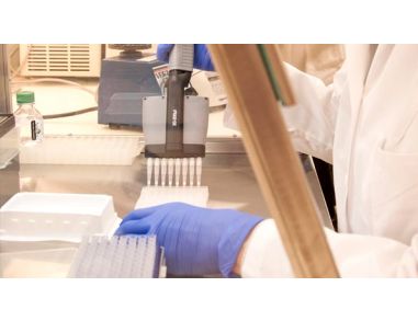 TeSR™-E8™ and STEMdiff™: New Products to Advance Research on Human Pluripotent Stem Cells