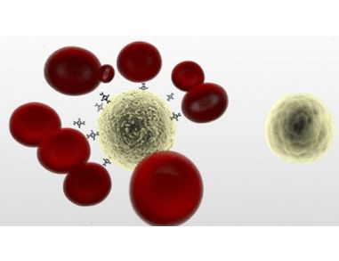 New Video: Untouched cells in one step with RosetteSep™