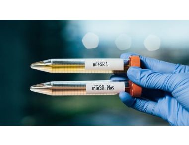 STEMCELL Technologies Launches mTeSR™ Plus