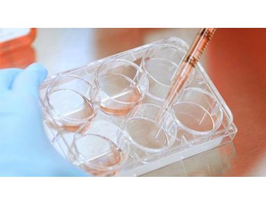 Speeding up Stem Cell Research: Genome BC, STEMCELL Technologies and UBC Partner to Accelerate the Ability to Develop Stem Cells