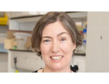 “The Mammalian Lung” Featuring Dr. Emma Rawlins